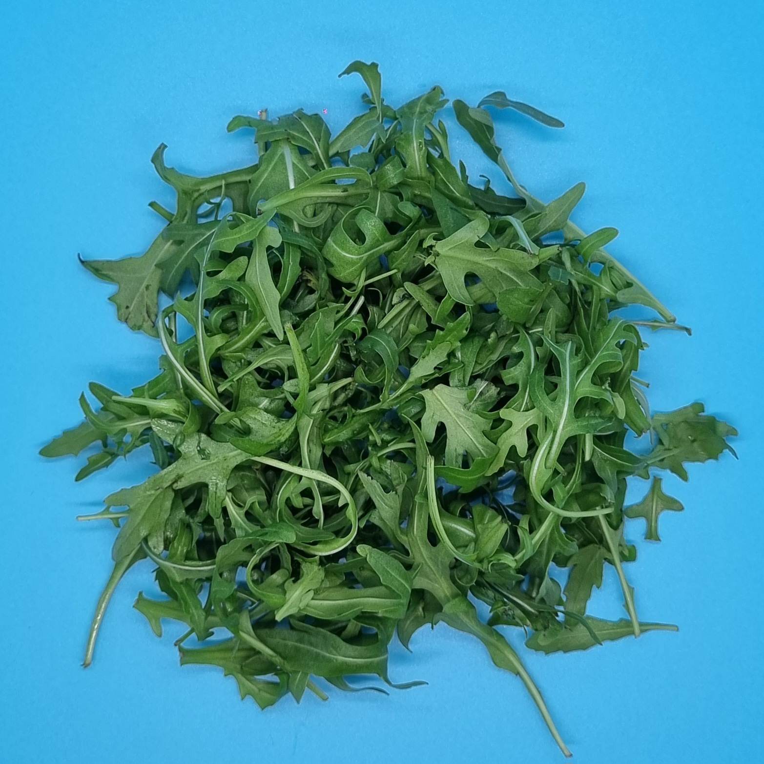 Roquette